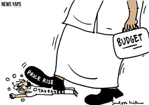 Budget-Cartoon